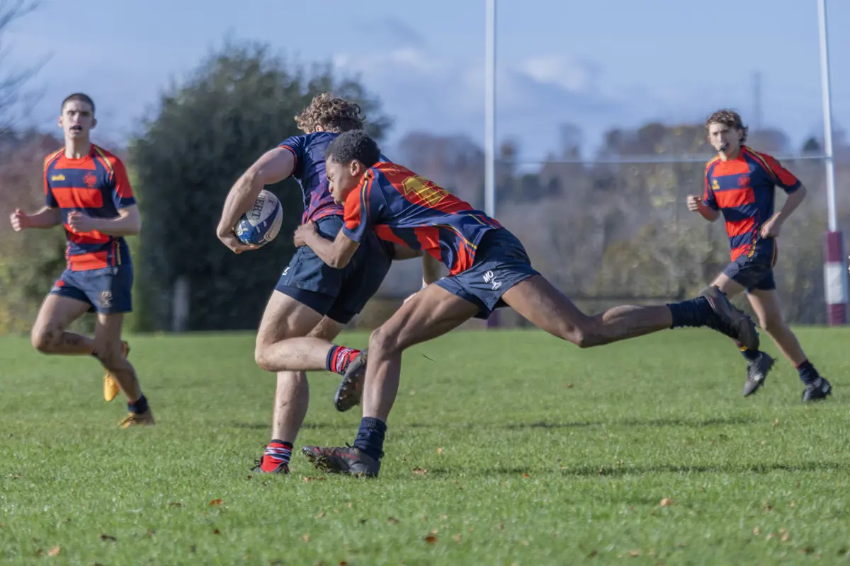  OptimizedImage,,,Optimized