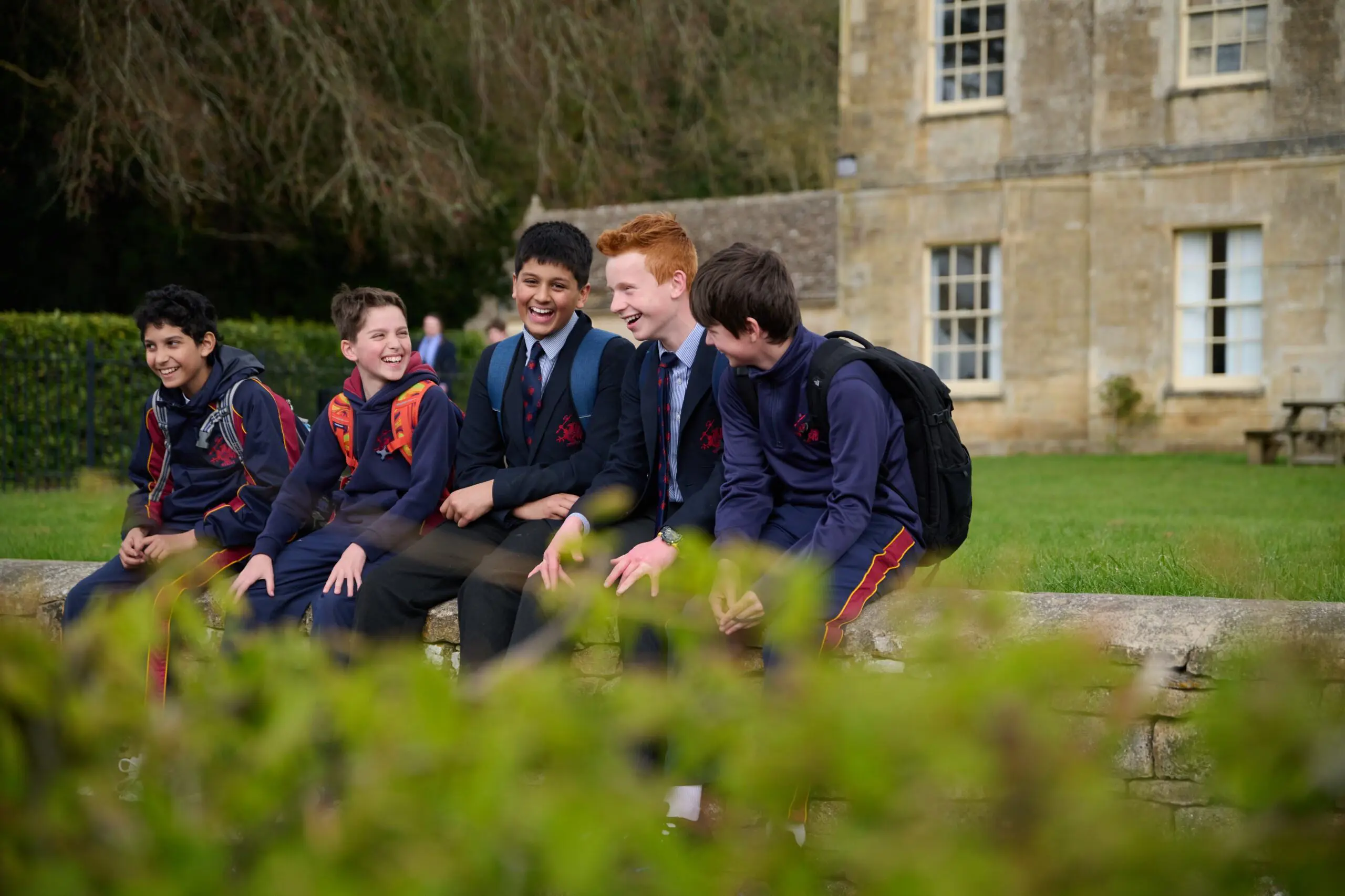  OptimizedImage,Optimized