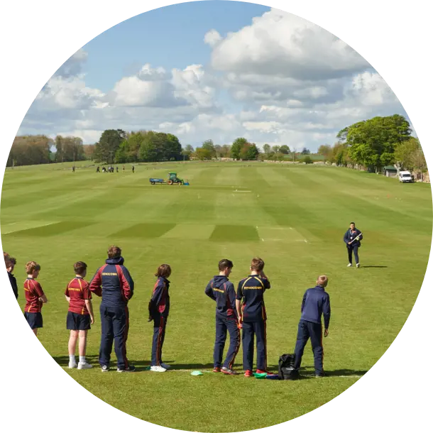  OptimizedImage,Optimized