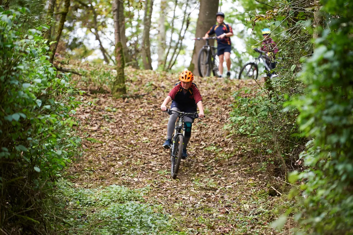  OptimizedImage,,,Optimized