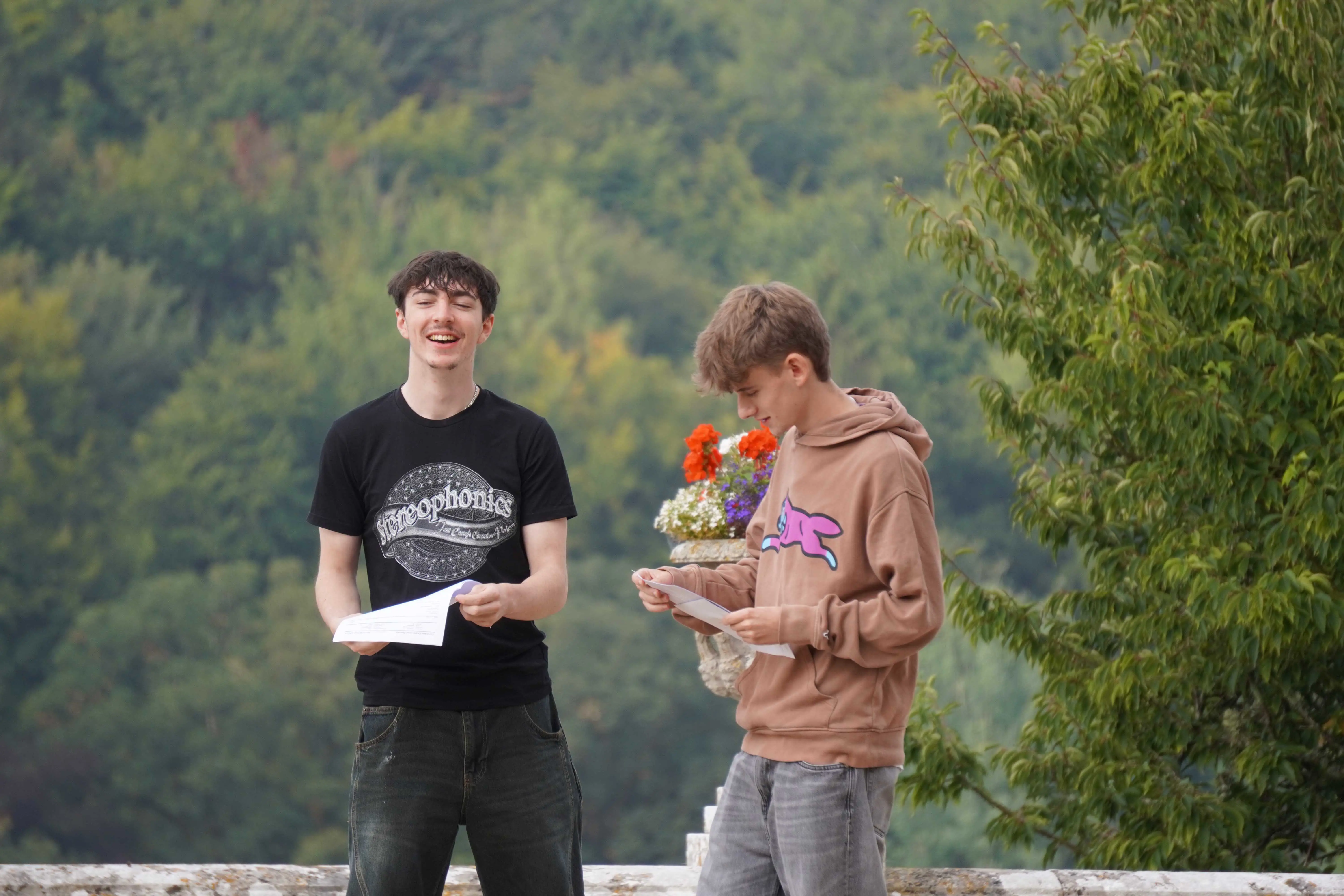 OptimizedImage,Optimized