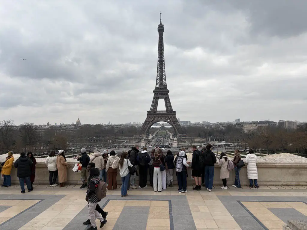 OptimizedImage,Optimized