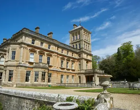 OptimizedImage,Optimized