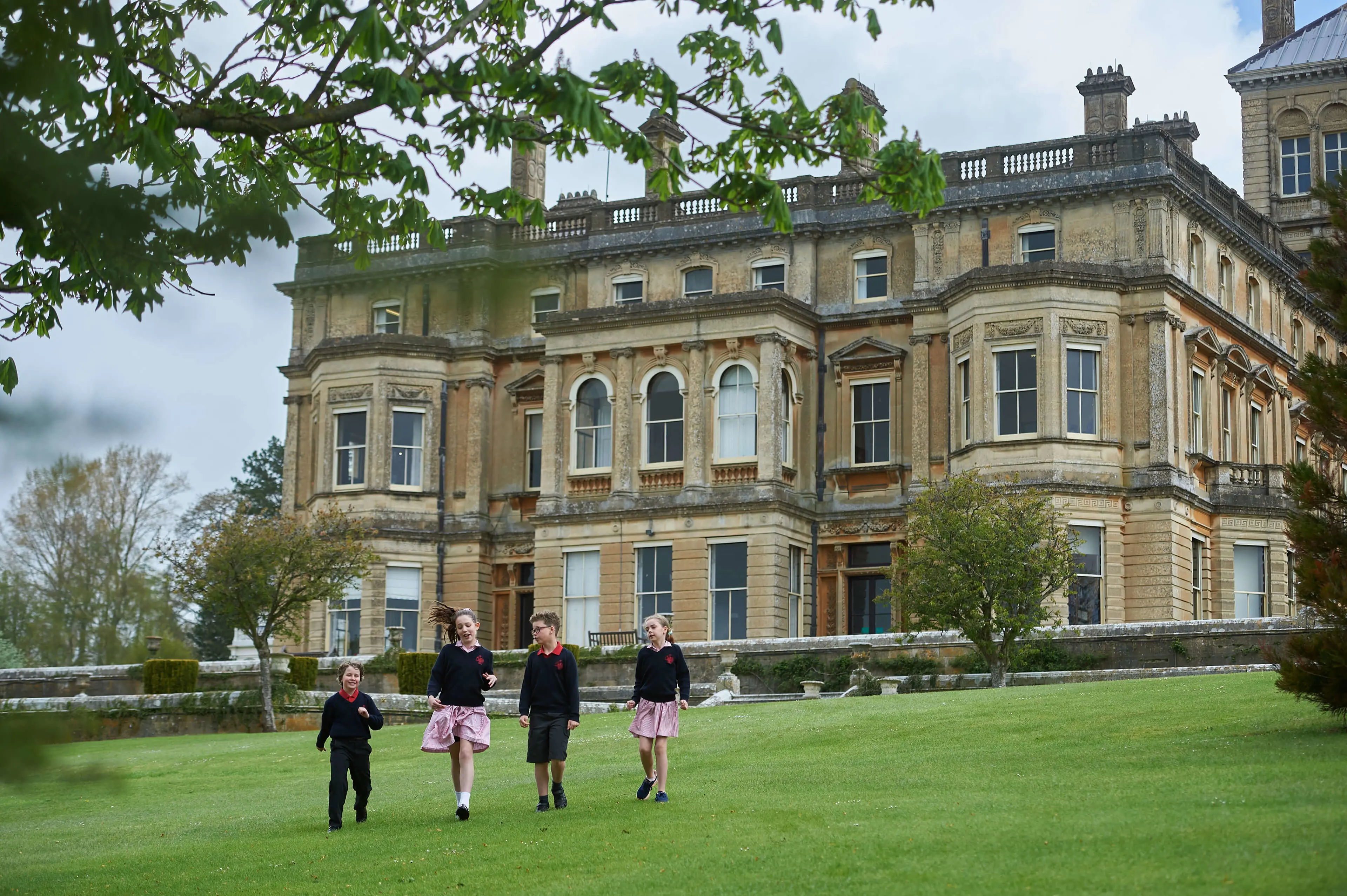  OptimizedImage,Optimized