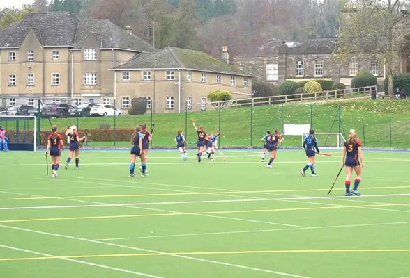  OptimizedImage,Optimized