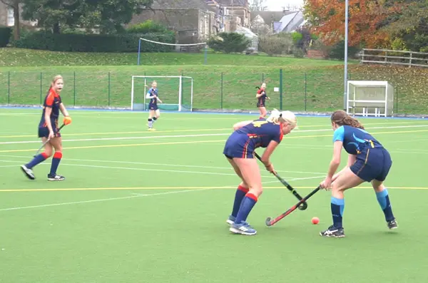  OptimizedImage,Optimized