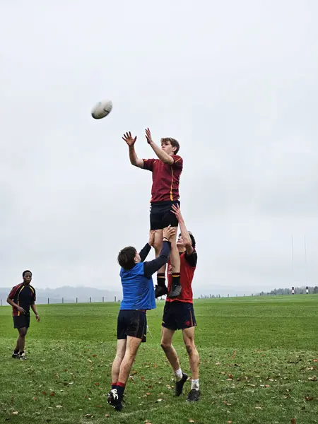  OptimizedImage,Optimized