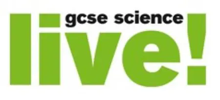  OptimizedImage,Optimized